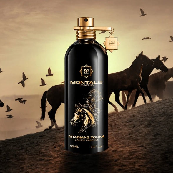 Arabians Tonka Móntale 1.1 Premium
